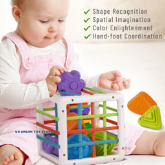 Shape Sorter Blocks