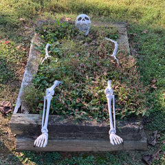 Realistic Skeleton Stakes