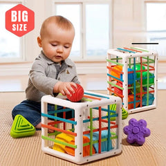 Shape Sorter Blocks