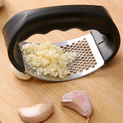 Stainless Steel Garlic Press